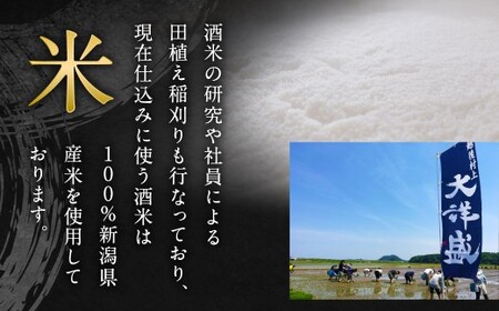 大洋盛 セットTW（720ml 飲み比べ 2本セット） 大洋酒造 特別純米大洋盛 和醸 日本酒 お酒 酒 新潟県 1009010