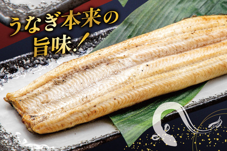 うなぎ 国産 静岡 うなぎ蒲焼 白焼 各130g 以上 各 1尾 計 2尾 タレ 山椒 付き [大井川うなぎ 静岡県 吉田町 22424701 ]