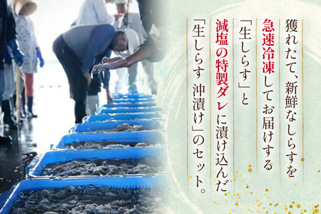 生しらす 160ｇｘ2パック と沖漬け 100g × 2パック 計520g 食べ比べ 小分け セット [丸三水産 静岡県 吉田町 22424697]