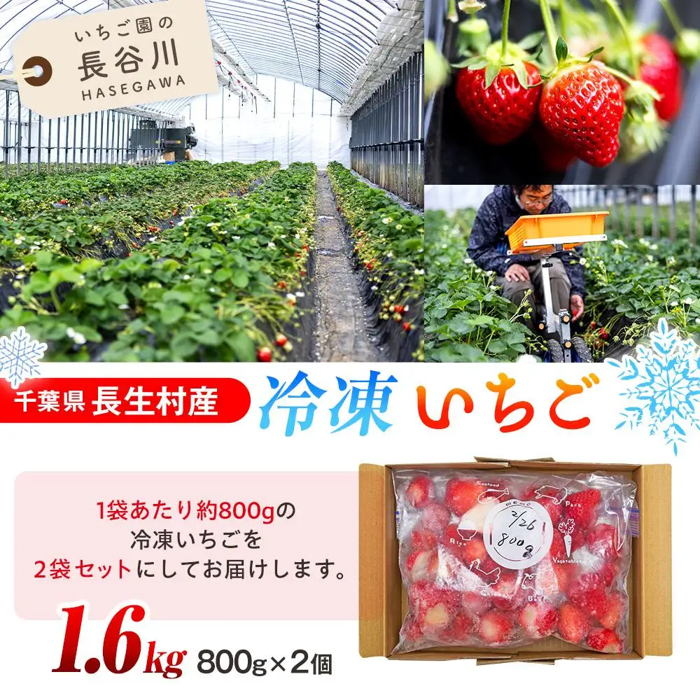AK00-003 冷凍いちご 2袋セット