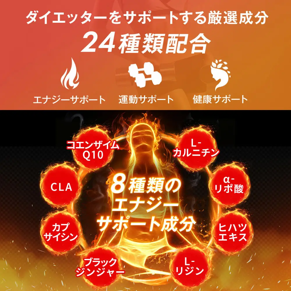 ハルクファクター カルニチン 18000mg サプリ 90粒 HMB BCAA マルチビタミン 24成分 L-カルニチン ダイエット α‐リポ酸 コエンザイム10