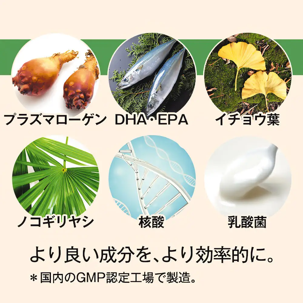 忘れたくないEX 高純度プラズマローゲン サプリ 60粒 3000mg  30日分 DHA EPA イチョウ葉 ノコギリヤシ 核酸 乳酸菌 日本製 サプリメント
