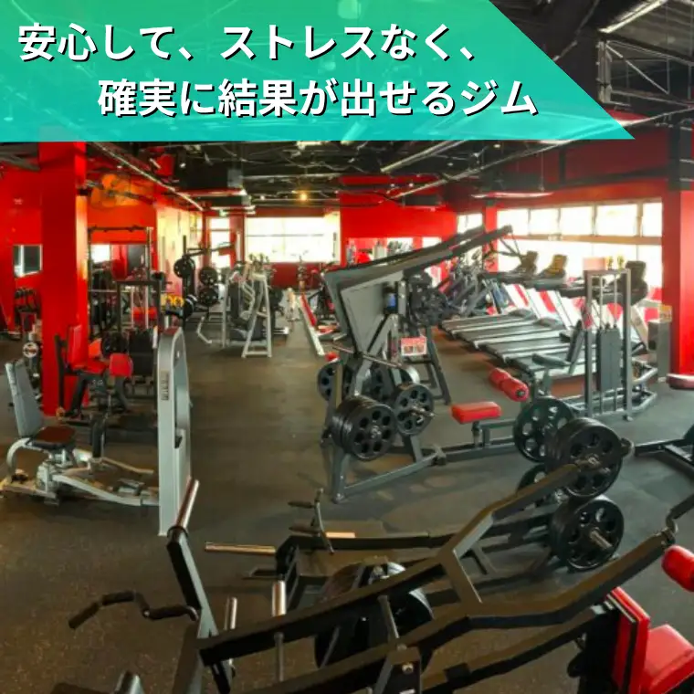 【FINE LAB FIT】ジム施設 1ヶ月利用券