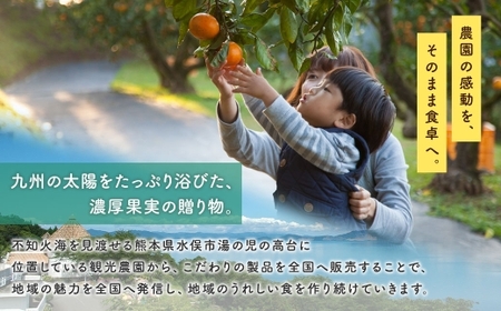 【 贈答用 】 九州果実シロップ 3本セット （ 甘夏 、 デコポン 、 天草晩柑 ） 贈答品 プレゼント ギフト シロップ フルーツシロップセット フルーツシロップ フルーツ くだもの 果物