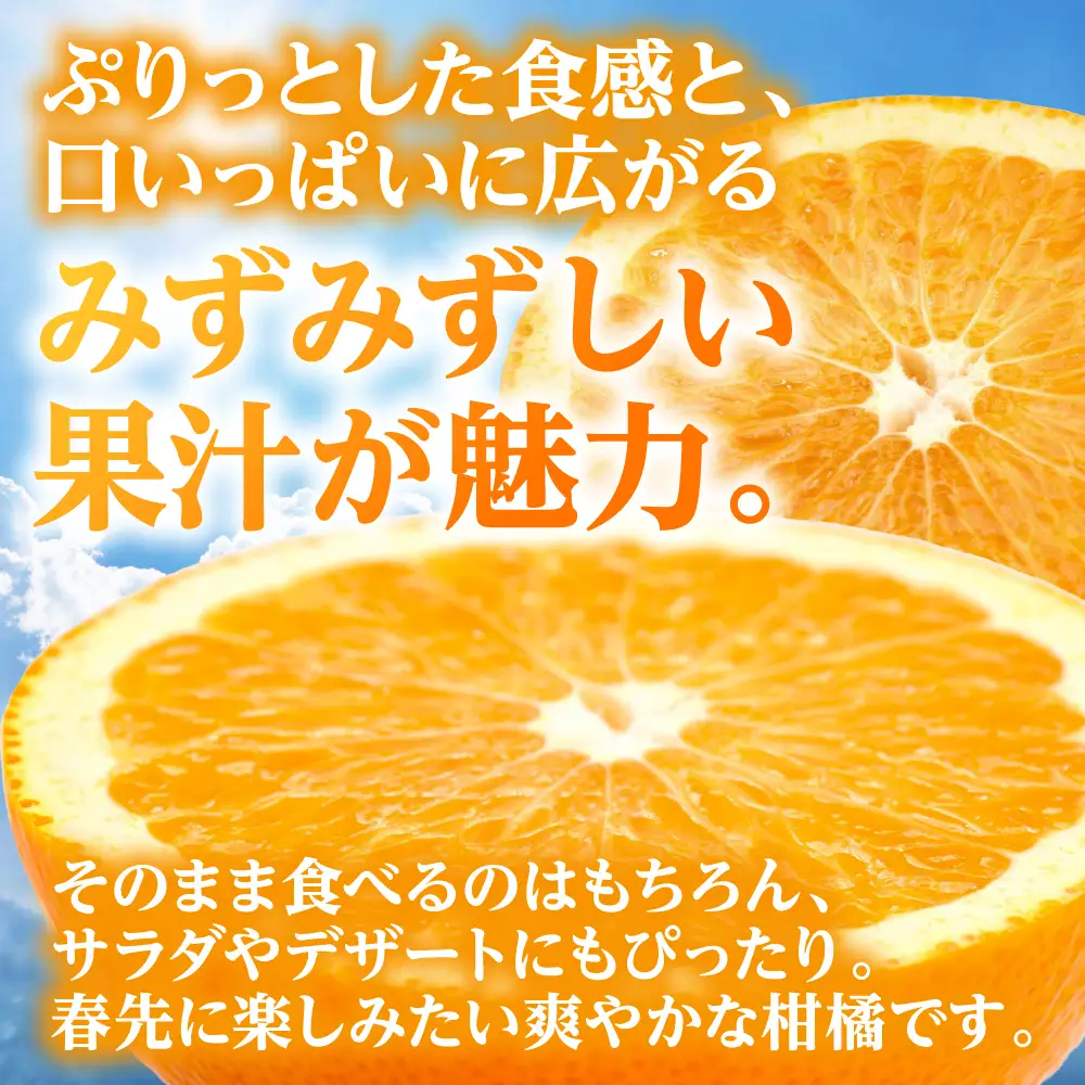 【先行予約】 【訳あり】 紅八朔 約8kg 八朔 はっさく ハッサク 柑橘 果物 くだもの フルーツ 熊本県 八代市 【2027年1月下旬より順次発送】