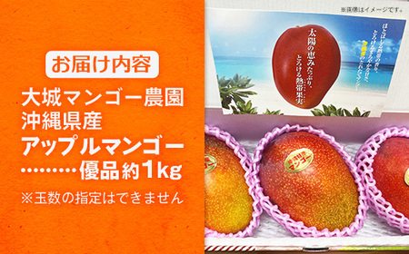 【先行受付】【2026年発送】大城マンゴー農園 マンゴー 優品 約1kg - 先行予約 アップルマンゴー 沖縄 産地直送 南国フルーツ 旬の味覚 贈り物 ギフト オススメ 沖縄県 八重瀬町
