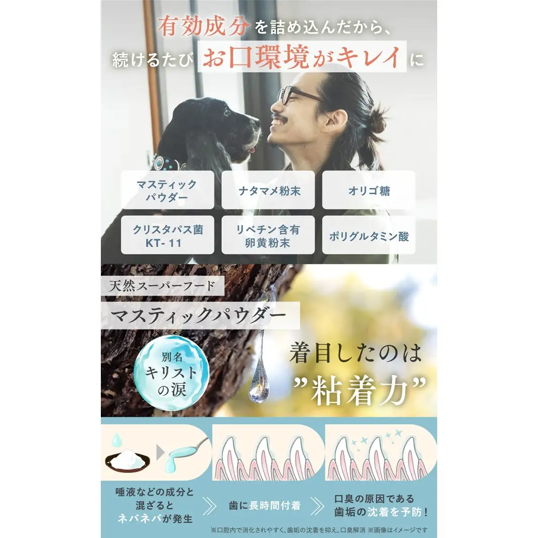 犬猫生活 犬猫兼用デンタルピューレ 国産鶏＆まぐろ味 1袋(30包入) 0185-004-S07