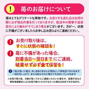 【先行予約】古都華 大粒 1パック×2セット【2027年1月～順次発送】