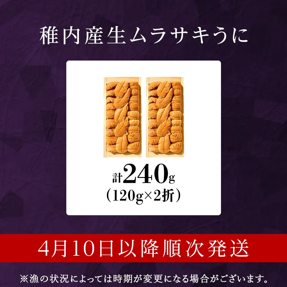 【厳選品】生ムラサキウニ木箱入り120g×2