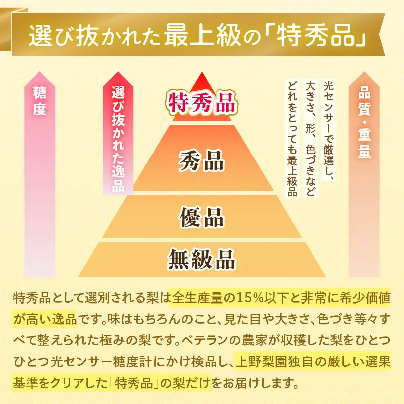 【先行予約】上野梨園の特選大玉 豊水梨『特秀品』選び抜かれた逸品 3kg 光糖度センサー選果品 梨園直送！ / 期間限定 果物 フルーツ 農家直送 シャキシャキ もぎたて 旬 お取り寄せ ※2026年9月上旬より順次発送 [aw077-a029]