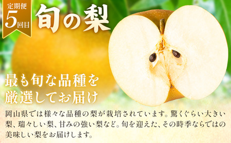 岡山県の贅沢フルーツ定期便 全5回