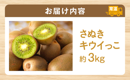 【先行受付】香川県オリジナルキウイフルーツ「さぬきキウイっこ」約3kg【香川県共通返礼品】 | キウイ キウイフルーツ 果物 フルーツ 青果 青果物 さぬきキウイっこ 果実 贈答 贈り物 ギフト 甘い 糖度が高い 季節のフルーツ 旬 おすすめ 香川県 三木町 |_mk006-065