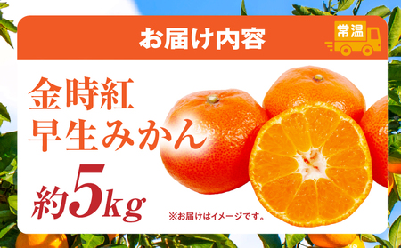【先行受付】金時紅早生みかん約5kg【香川県共通返礼品】 | 金時紅 鮮やか 紅色 小原紅早生 糖度 甘い みかん ミカン 柑橘 柑橘系 果物 フルーツ 青果 デザート グルメ おすすめ 贈答 贈り物 贈答用 ギフト プレゼント 特産品 特産 取り寄せ 香川県 三木町 |_mk006-077
