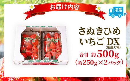 【先行受付】【年内発送】三木町地域いちご部会「さぬきひめ」約500gDXパック | スイーツ いちご ストロベリー イチゴ さぬき姫 さぬきひめ 苺 甘い 大粒 冷蔵 フルーツ 旬 果物 香川県 デザート 青果物 贈答 プレゼント 贈り物 おすすめ |_mk006-085