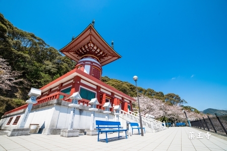 【四国霊場第23番札所・薬王寺にて御祈祷】厄除けのまち・美波町の天然塩「やくよけ塩」　徳島県 美波町 四国 薬王寺 大浜海岸 塩 天然塩 海塩 クラフト塩 調味料 粗塩 厄除け 厄年 御祈祷 縁起物 お清め 盛り塩 お守り お遍路 無添加 ミネラル 平釜 薪火 国産 ウミガメ おにぎり お弁当 ギフト 贈り物 常温保存