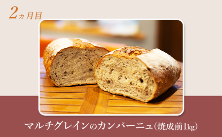 【 定期便 5ヵ月 】本場欧州のハード系パン 5種類 80%ライ麦パンと特製カンパーニュ 焼成前計4.9kg パン ライ麦パン カンパーニュ ハード系パン 冷凍