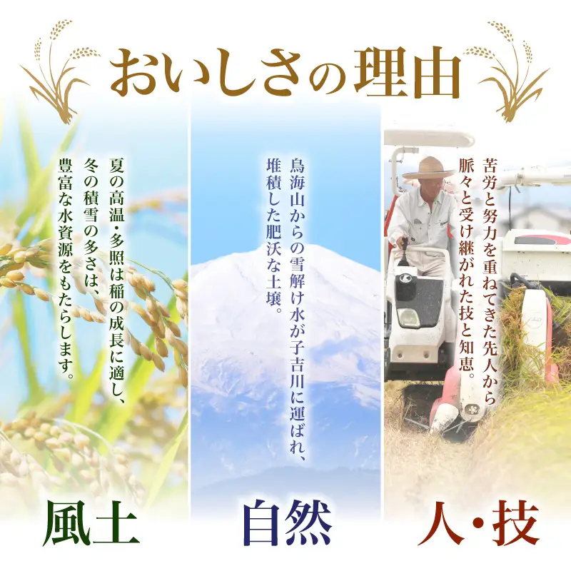 【新米先行予約】【2026年10月以降順次発送予定】《定期便6ヵ月》ひとめぼれ 令和8年度産 精米10kg(5kg×2)【精米 白米 米 コメ お米 おこめ ブランド米 ご飯 ごはん 秋田 にかほ】