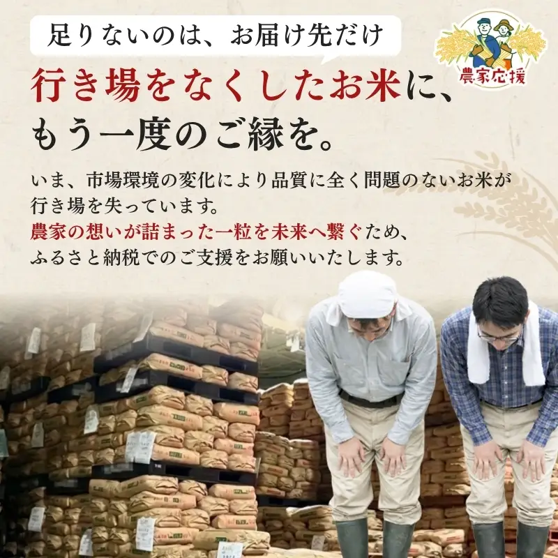 【最短3日配送】農家応援! にじのきらめき 5kg 緊急価格改定 新潟県 上越市産 令和7年産 お米 精米 米 ご飯 送料無料