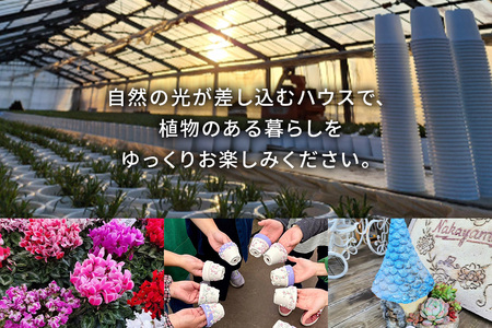 中山園芸 商品券 3,000円分 A07-022