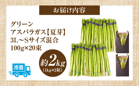 【先行受付】【夏芽】グリーンアスパラガス サイズ混合約2kg（1kg×2箱） | グリーンアスパラガス アスパラガス アスパラ 夏芽 おすすめ 混合 シャキシャキ 野菜 冷蔵 新鮮 新鮮野菜 香川県 国産 三木町 おすすめ |_mk006-005
