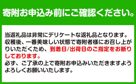 【ふるなびWEEK対象】ご家庭用 あら川の桃 約2kg (6~8玉入り) 橋村農園