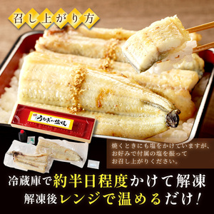 うなぎ【土用の丑の日までに届く！】うなぎ 塩焼き2～3人前(1尾) "新月の塩"使用 