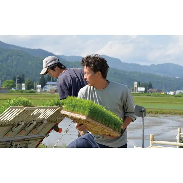 【令和7年産】関智晴がつくる南魚沼塩沢産コシヒカリ20kg（5kg×4個） 減農薬栽培米【銘柄米 ブランド米 精米 こしひかり コシヒカリ 魚沼産 新潟米 産地直送 お米 米 こめ コメ ご飯 御飯 ごはん】