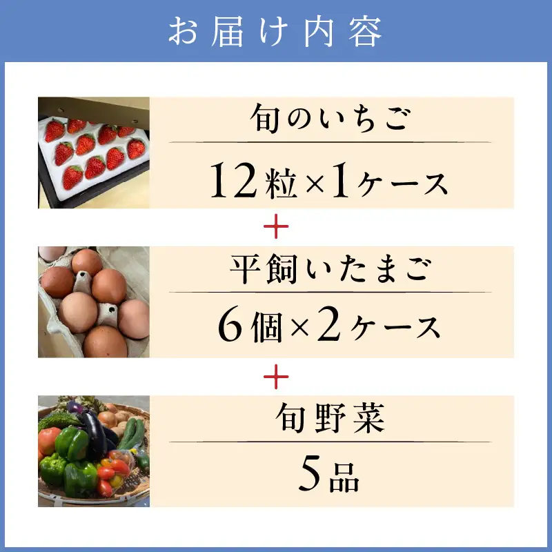 【2026年12月下旬～2027年5月発送予定】泉南市産　旬のいちご・平飼いたまご・旬野菜5品セット【配送不可地域：北海道・沖縄・離島】【015D-027-2027】