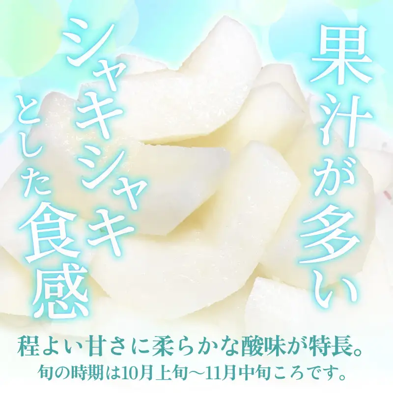 【先行予約】定期便 ≪2回お届け≫ 旬のフルーツ定期便 全2回 シャインマスカットと新興梨『特秀品』 梨園直送！ / 期間限定 果物 フルーツ 農家直送 シャキシャキ もぎたて 旬 お取り寄せ ※2026年9月中旬より順次発送 [aw077-b004]