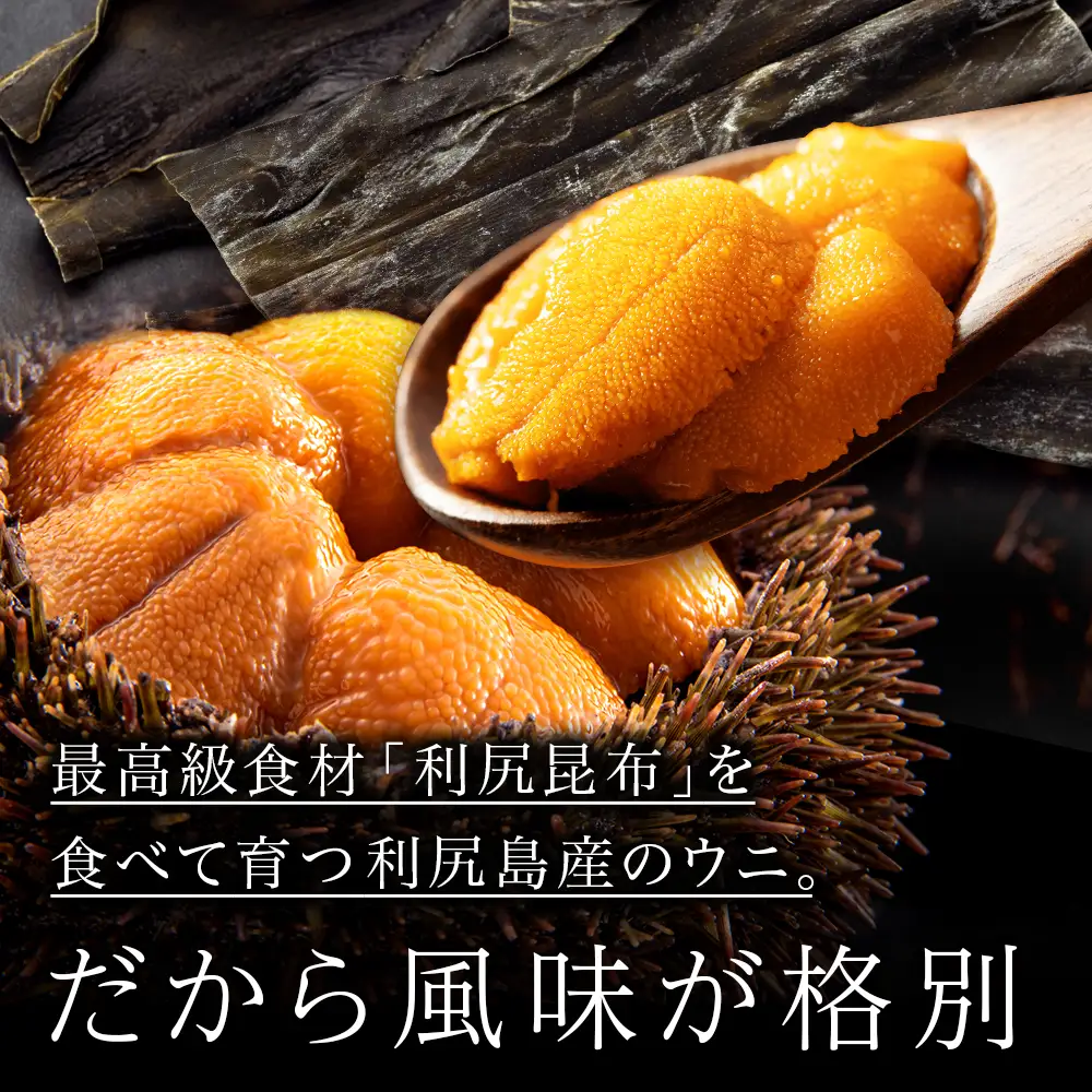 【2026年7月～8月発送予約】エゾバフンウニ 100g (100g×1パック) ＜利尻漁業協同組合＞