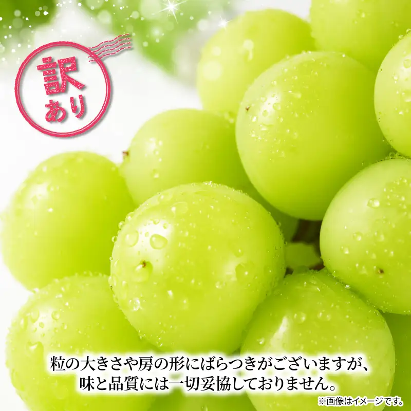 訳あり シャインマスカット × マスカサーティーン （ 種なし ） 1房 450g 以上 