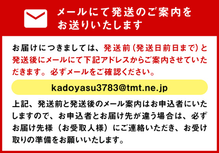 【8月配送開始】〈配送地域限定〉 産地直送 氷見漁港 朝どれ鮮魚お刺身セット定期便3ヶ月連続配達指定なし　刺身