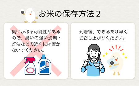 兵庫県産コノホシ (4kg) 米 / 米