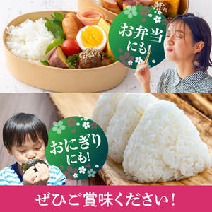 BB6233_和歌山県産キヌヒカリ 5kg（2025年産）