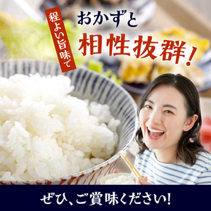 BB6234_ 和歌山県産 にじのきらめき 5kg（2025年産)