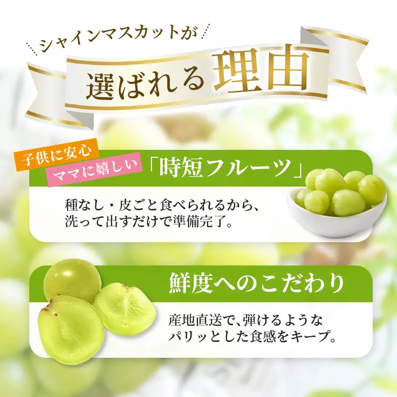 かつらぎ町産　シャインマスカット 約1.5kg（2房）【2026年8月中旬～9月中旬ごろ順次発送】【AQ-ikd730】 