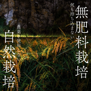 香子 5kg | 熊本県 和水町 くまもと なごみまち なごみ 米 お酒 酒 あか酒 地酒 花の香酒造