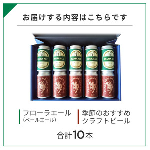 東近江のクラフトビールセット こいずみ酒店 滋賀県 東近江市 B-I04 クラフトビール 地ビール 飲み比べ 10本 缶 セット ペールエール 滋賀 ご当地 お酒 詰め合わせ ギフト