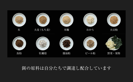 平飼い有精卵60個 省資源トレー｜大容量・環境配慮・放し飼い卵（西粟倉村）【配送不可地域：沖縄・離島】t-SS-ArDA