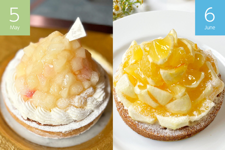ケーキ タルト 1ホール 12cm 12種 食べ比べ 各回1ホール 6回 定期便 総計6ホール [心優-Cotoyu sweets- 長崎県 平戸市 hr42bjo490221]