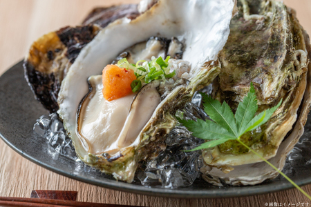 【期間限定発送】 殻付き牡蠣 生食可 生牡蠣 約2kg 8～10個前後 [北川水産 長崎県 平戸市 hr42bgy400230]