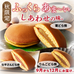 どら焼き　季節のセット ［009B14］ 和菓子 スイーツ デザート お取り寄せ 春セット 夏セット 秋セット 桜葉 レモンピール 栗きんとん りんご蜜漬 名古屋コーチン卵 備中白小豆 北海道産小豆 愛知県 小牧市 送料無料