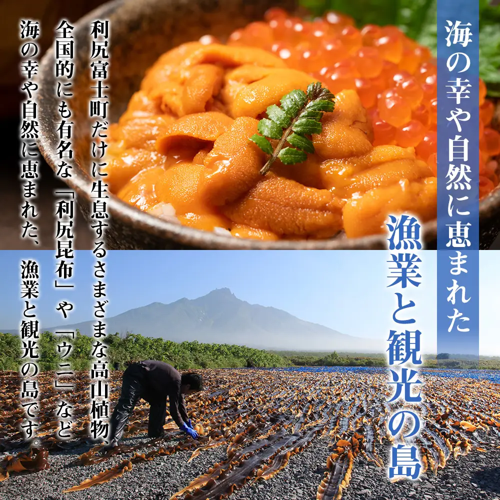 北海道 利尻富士町☆応援寄付金☆【返礼品なし】50,000円