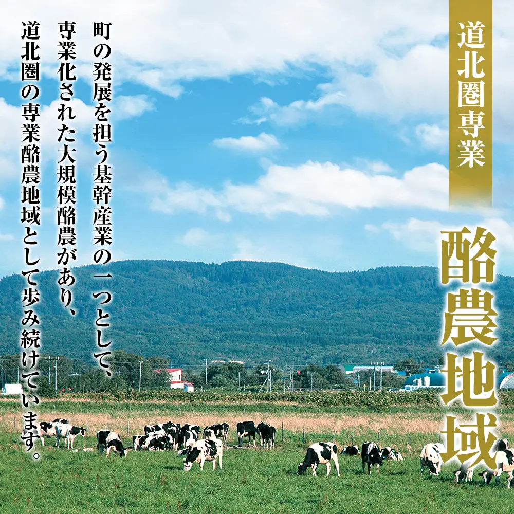 北海道天塩町 ☆応援寄附金☆【返礼品なし】10,000円分