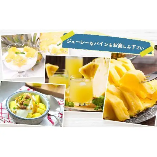 石垣島産ジュワリーパイン 2玉 約1.4kg