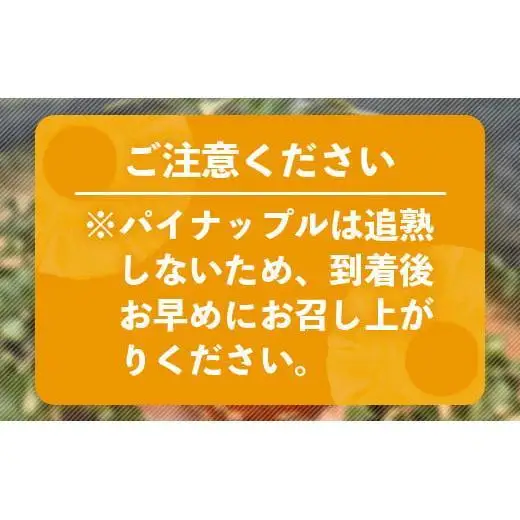 石垣島産 完熟 スナックパイン 2玉 約1.4kg 