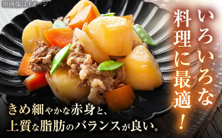 【12回定期便】A4 A5等級 佐賀牛 切り落とし 670g /焼肉どすこい[UCC028]