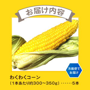 トウモロコシ わくわくコーン 5本 期間限定 数量限定 糖度15度以上 ジューシー 甘い スイートコーン 野菜 新鮮 朝採り クール便 冷蔵発送 静岡県 富士市 【6月中旬～7月中旬頃に順次発送】 [sf001-341]