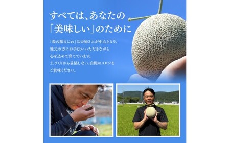 【2026年先行予約】 岡山メロン アールスメロン2玉（3kg以上） ※7月末より順次発送 真庭市 【mnem002-01】