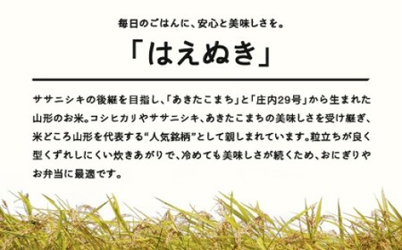 はえぬき 精米 5kg 7月中旬~7月下旬発送 国産 お米 山形県産 山形産  おすすめ 5kg 5キロ 5きろ 令和7年産 2025年産 沖縄・離島への配送不可 コメ こめ はくまい 白米米 tf-hasxb5-7s